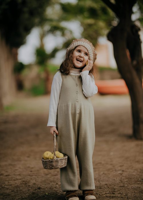 pexels photo 32620521 32620521 scaled.jpg